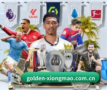 golden-xiongmao.com.cn APP